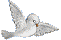 dovefloat4.gif (1581 bytes)